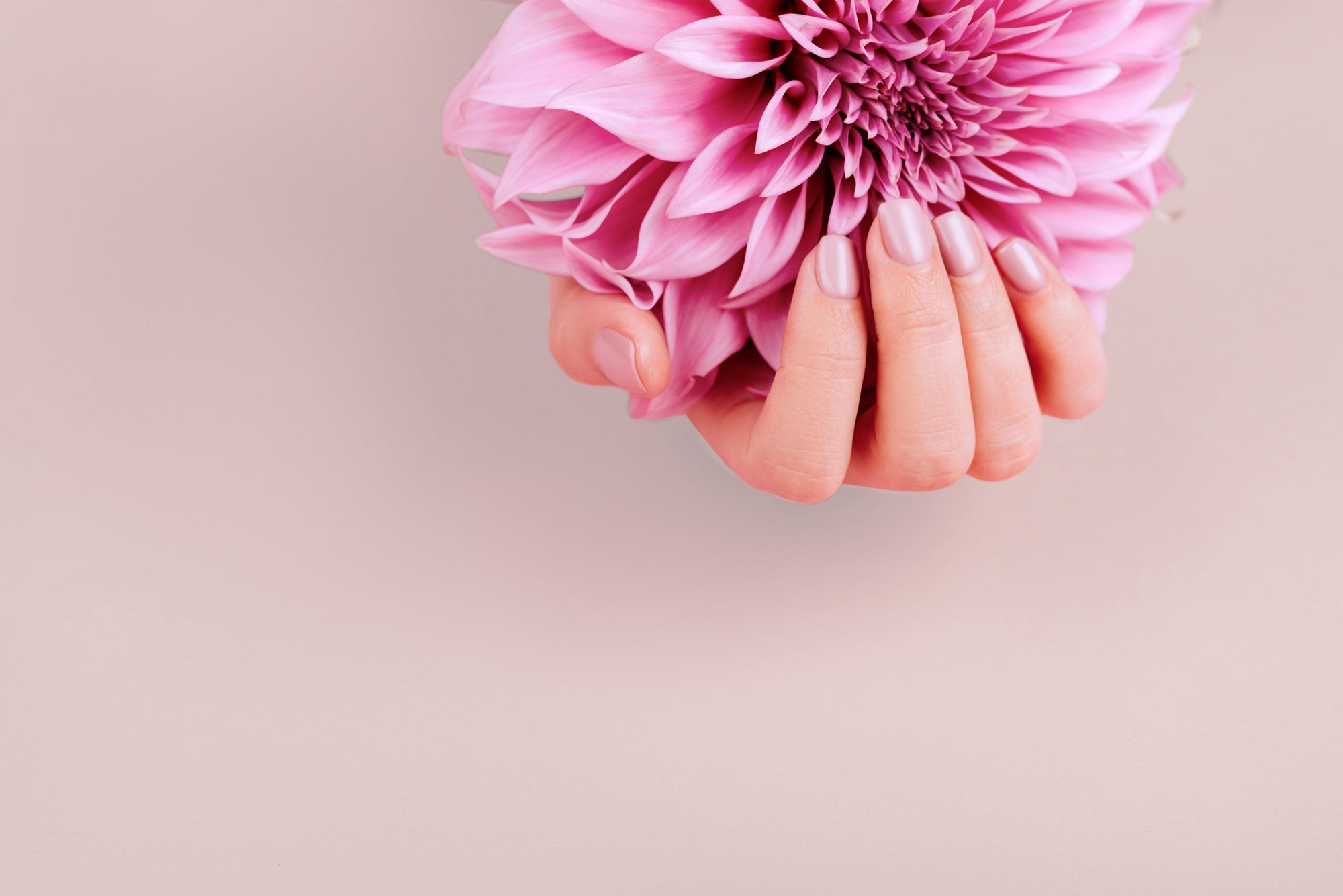 Kosmetikstudio Deluxe Cosmetic im Hürlimann-Areal Zürich